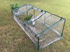 Delta Canopy Greenhouse GH003 - 107