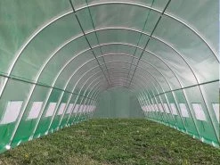Delta Canopy Greenhouse 40'x13' - Walk-in Nursery With Round Arch Greenhouses