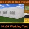 Delta Canopy Party Tents Wedding Tent 10'x30' White