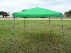 Delta Canopy 8'x8'/10'x10' Green - Slant Leg W Net - Pop Up Tent